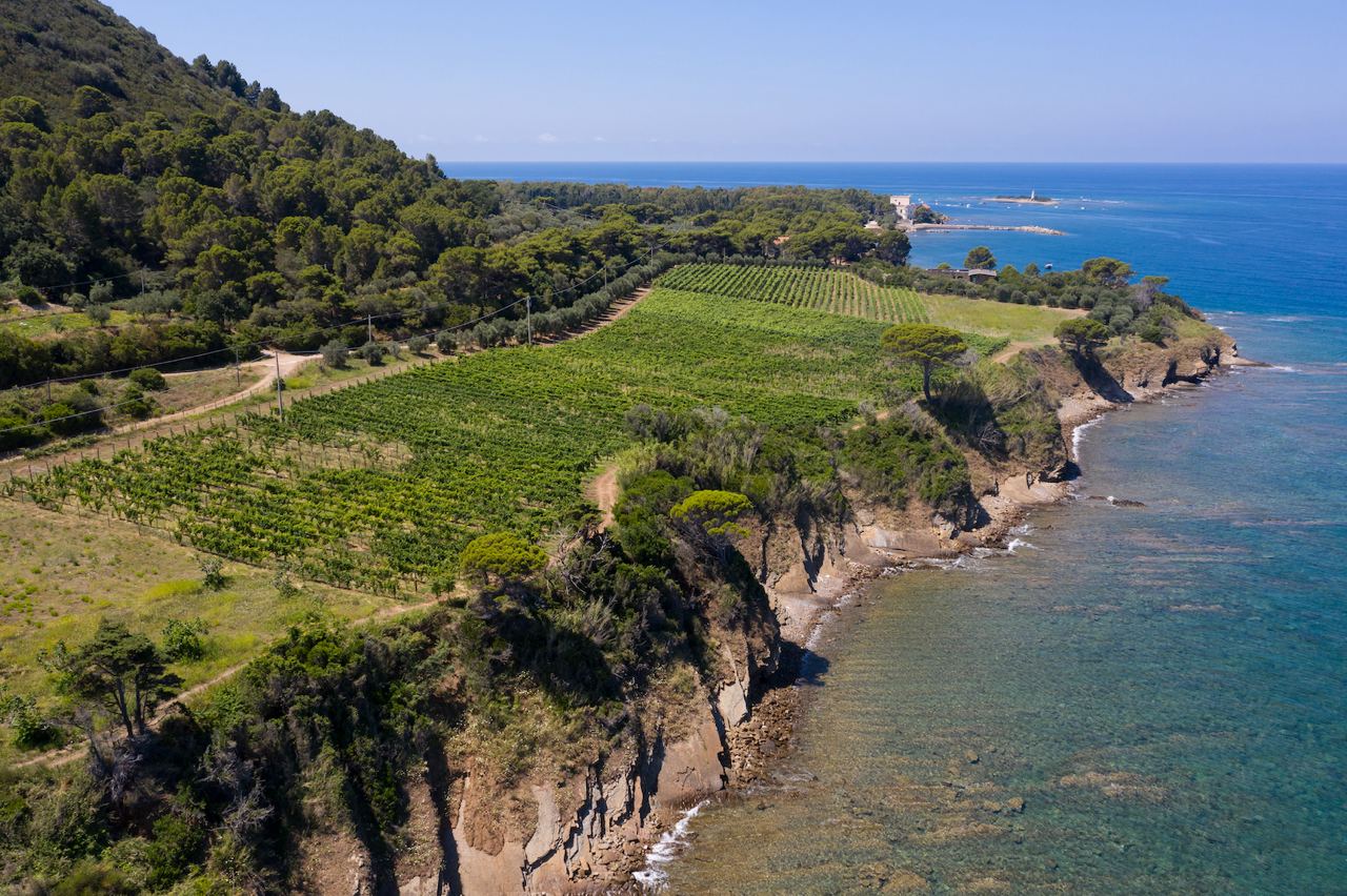 Cilento Experience: Castellabate Tour with Wine and Food Tasting