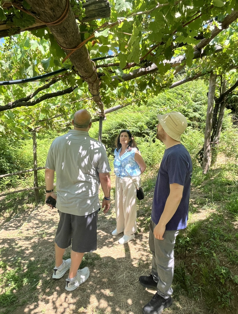 Amalfi Coast Tour & Wine Tasting