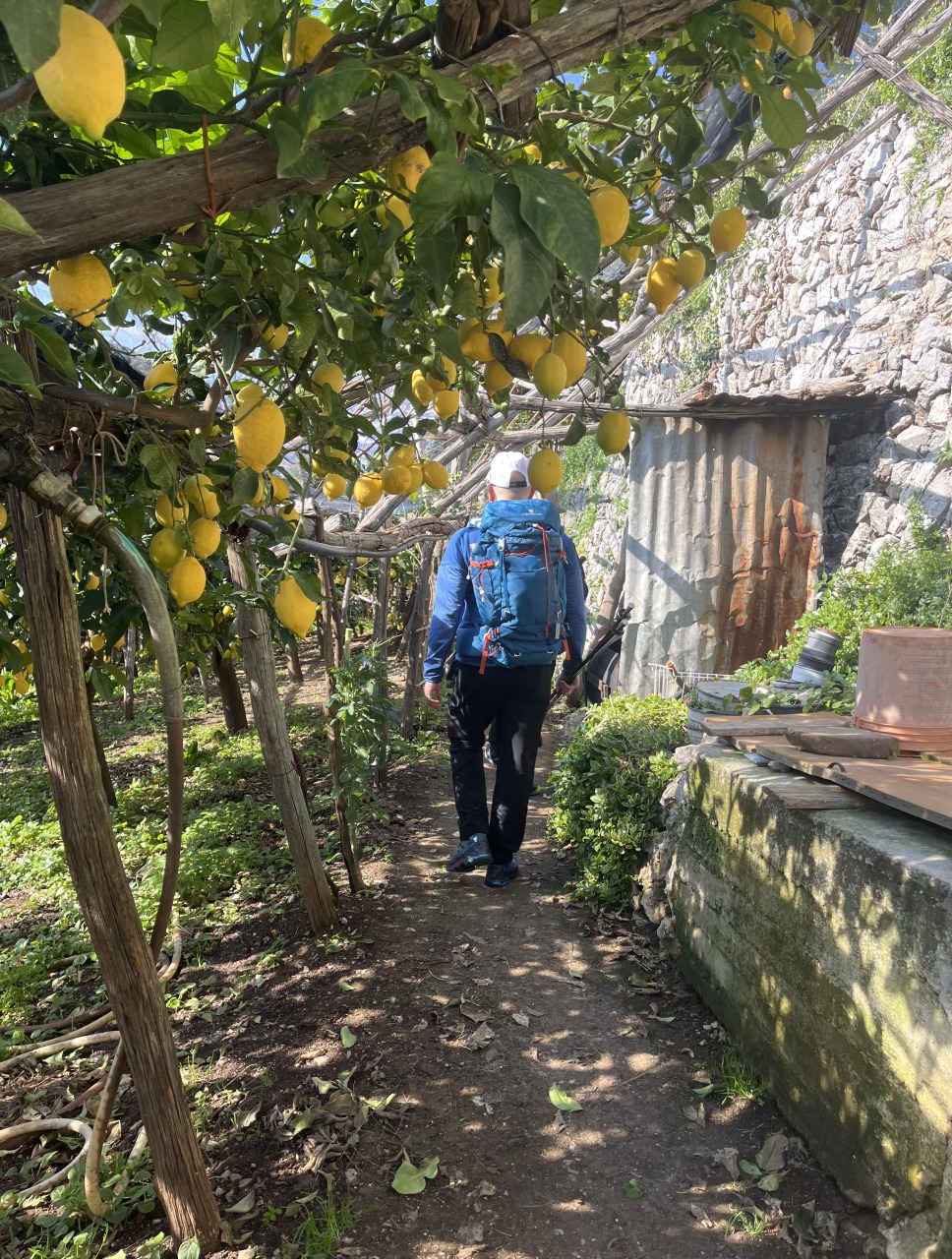 Lemon's Path Tour & Tasting session